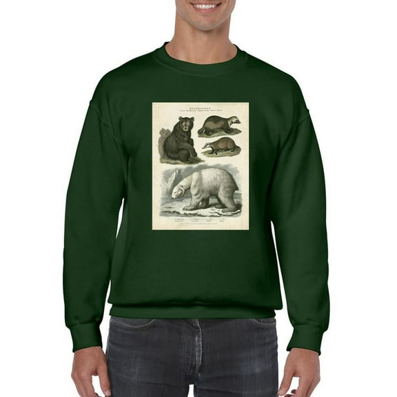Brown Bearm. Polar Bear Sweatshirt Men -Sydenham Edwards Designs, Male x-Large