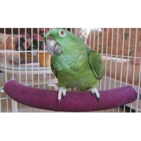 Polly S Cozy Corner Bird Perch Small Multi Colored Com