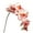 Pink, variant on Farfi Artificial Flower Realistic Office Ornament Butterfly Orchid 7 Heads Fake Flower for Wedding (Pink)