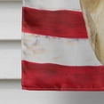 thumbnail image 4 of Carolines Treasures BB9680CHF Thai Ridgeback Patriotique Drapeau Toile Maison Taille, 4 of 4