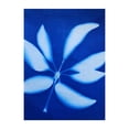thumbnail image 2 of Tedco Toys 88051 Sun Art Paper Kit - 5 x 7 In., 2 of 3