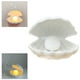 thumbnail image 5 of Lámpara de concha para niños, luz de noche de mesa de cerámica, LED 3D, luz de perla pintada a mano Blanco, 5 of 9