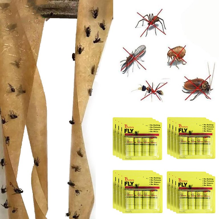 Sticky paper Insect Traps at