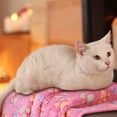 thumbnail image 6 of 4 Pcs Dog Blanket, Soft Warm Coral Fleece Pet Blanket, Cat Blanket for Couch, 15.7" x 23.6", 6 of 8