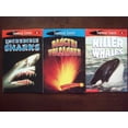 thumbnail image 1 of Pre-Owned Science and Animals; See More Readers; Set of 3 Children's Readers (Killer Whales~Incredible Sharks~Danger! Volcanoes), 9780439560955, 0439560950, Paperback,, 1 of 1