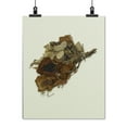 thumbnail image 2 of Print: Dried Flowers From The Funeral Of Abraham Lincoln. Artifact In The, 2 of 4