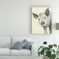 thumbnail image 3 of Trademark Fine Art 'Oink' Canvas Art by Albena Hristova, 3 of 4