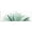 Lush Green Botanicals, variant on Stupell Industries Sunshine Lemon Tree 2 Piece Canvas Wall Art Set, design by June Erica Vess