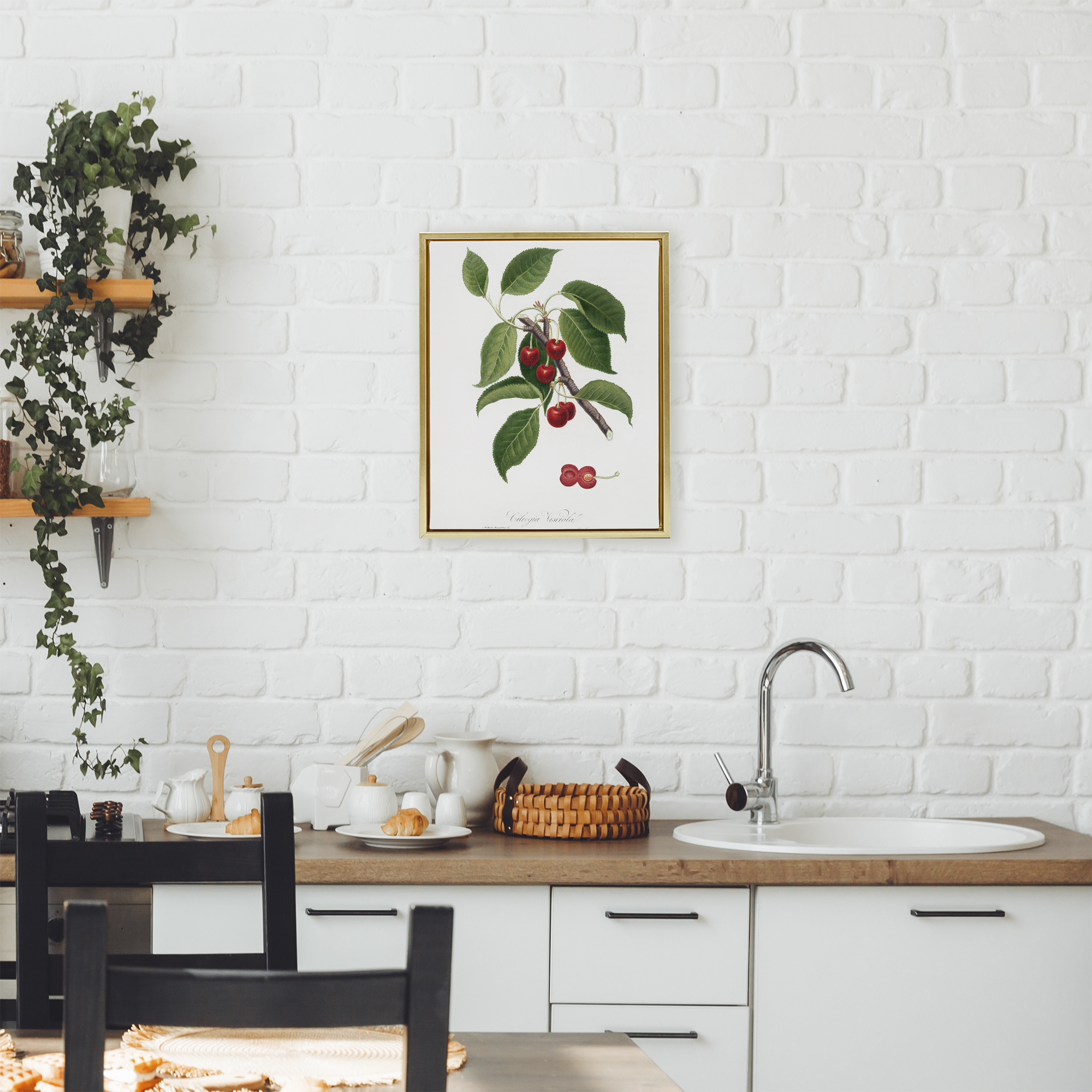 Latin Study of Cherry Plant Gold Framed Floater Canvas Wall Art, design by Lettered and Lined