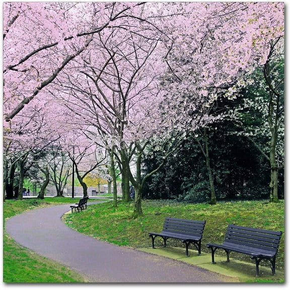 Trademark Fine Art "Spring Path" Canvas Art by CATeyes