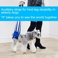 thumbnail image 2 of Pet Dog Support Harness Rear Support Lifting Harness - Padded Lifting Aid with Leash for Comfort Control to Assist Old/Disabled Pets - Comfortable, Breathable Material - Easy to Adjust, 2 of 7