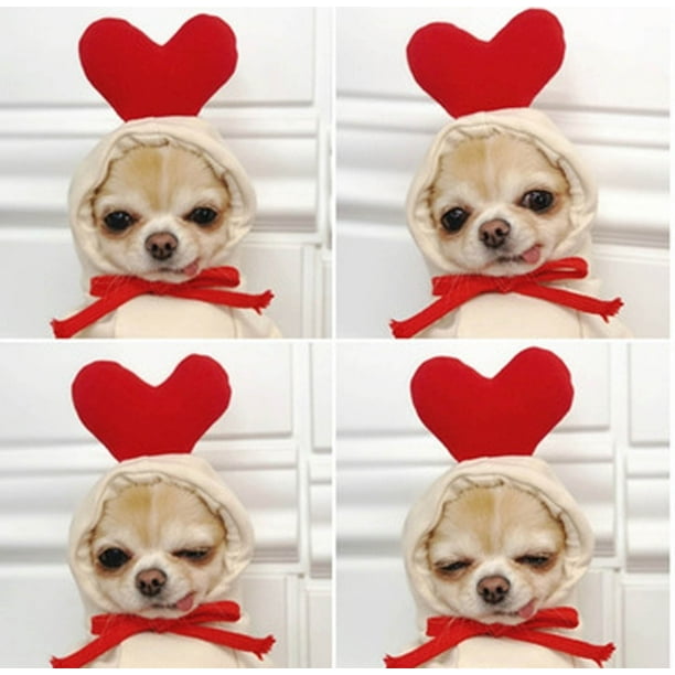 Fiudx Suéter para Perro Pequeño, Diseño Moderno de Polar de Algodón, Manga Larga, Suave y Cómodo, Ropa de Invierno, Multiusos, Talla Xs, Accesorios para Mascotas, 30 X 20 Cm