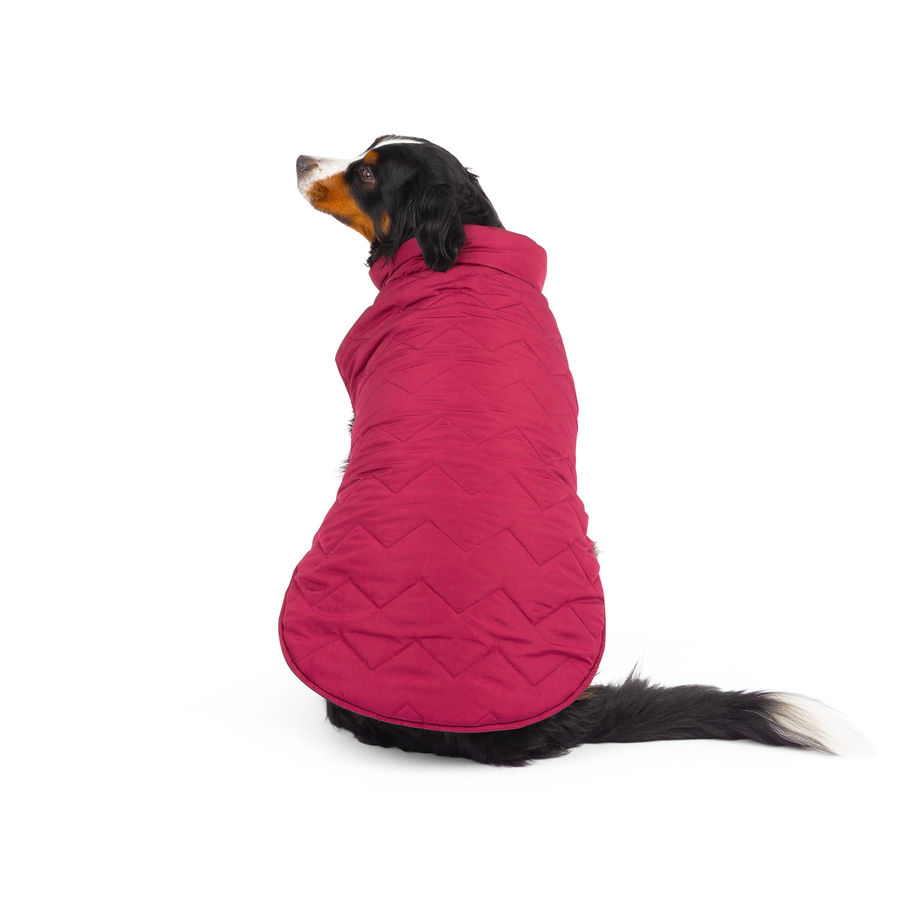 One Paw, Veste Matelassée Réversible et Compressible pour Chien