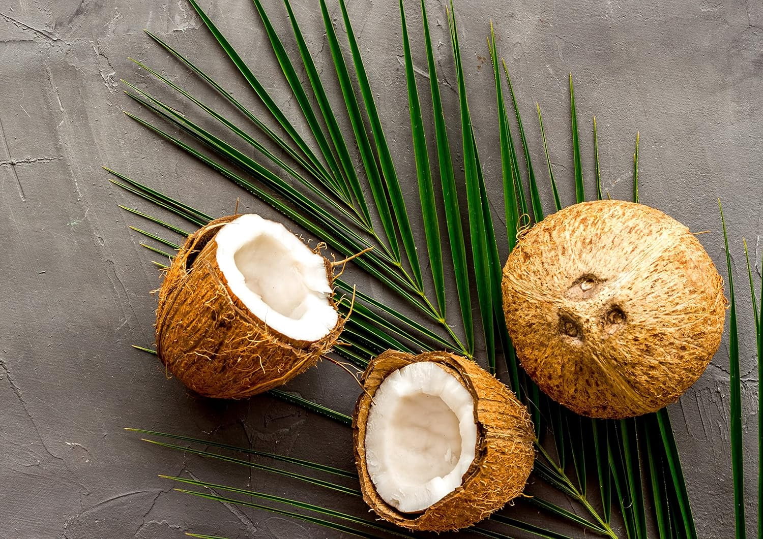 Organic Large Toasted Coconut Chips, 1.5 Pounds — Non-GMO, Kosher, Vegan — by Food to Live