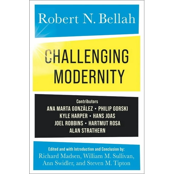 Challenging Modernity, (Paperback)
