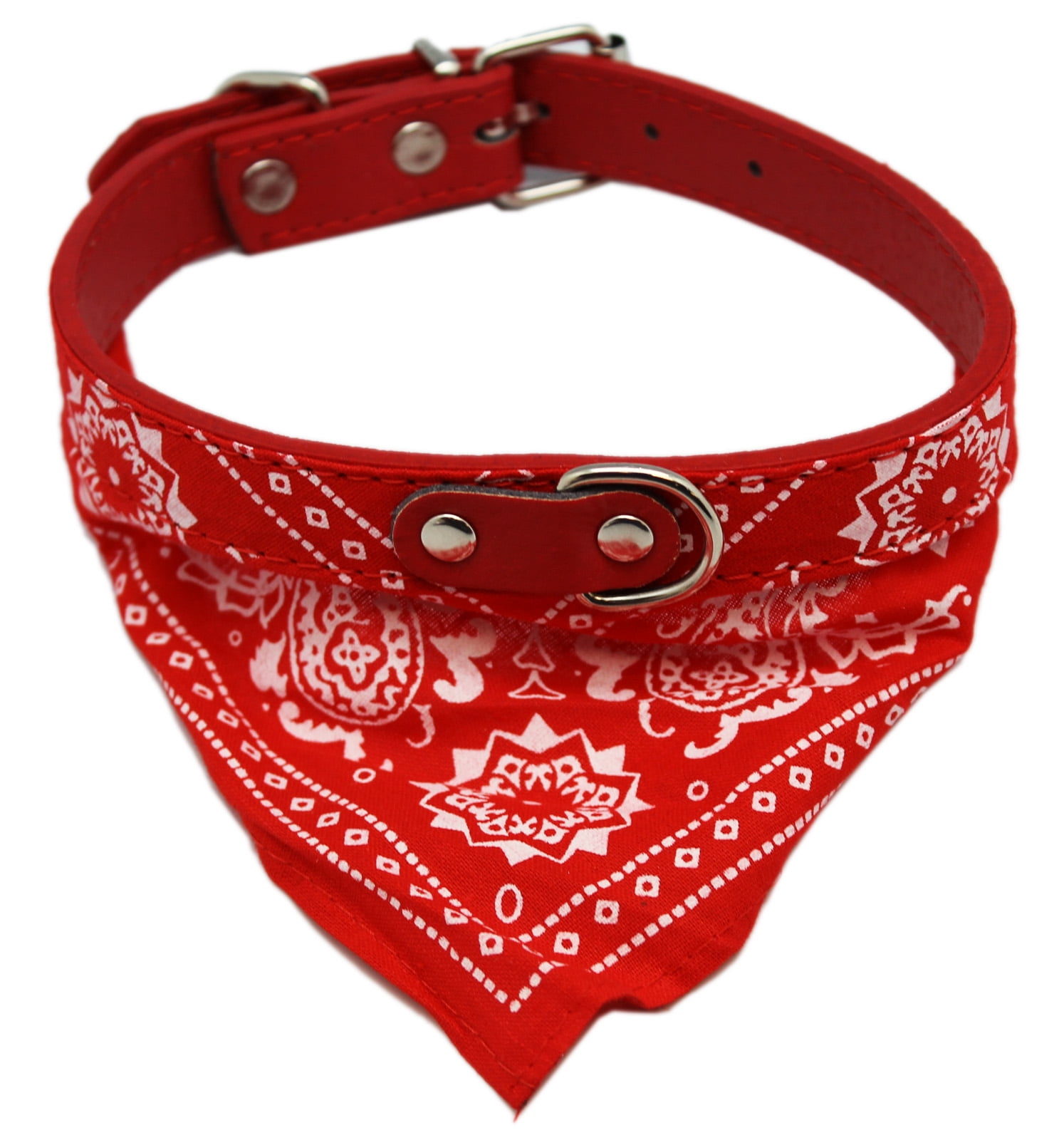 dog collars