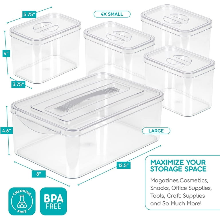 Richards Clear Plastic Storage Containers with Lids for Organizing – 1  Large and 4 Small Bins 