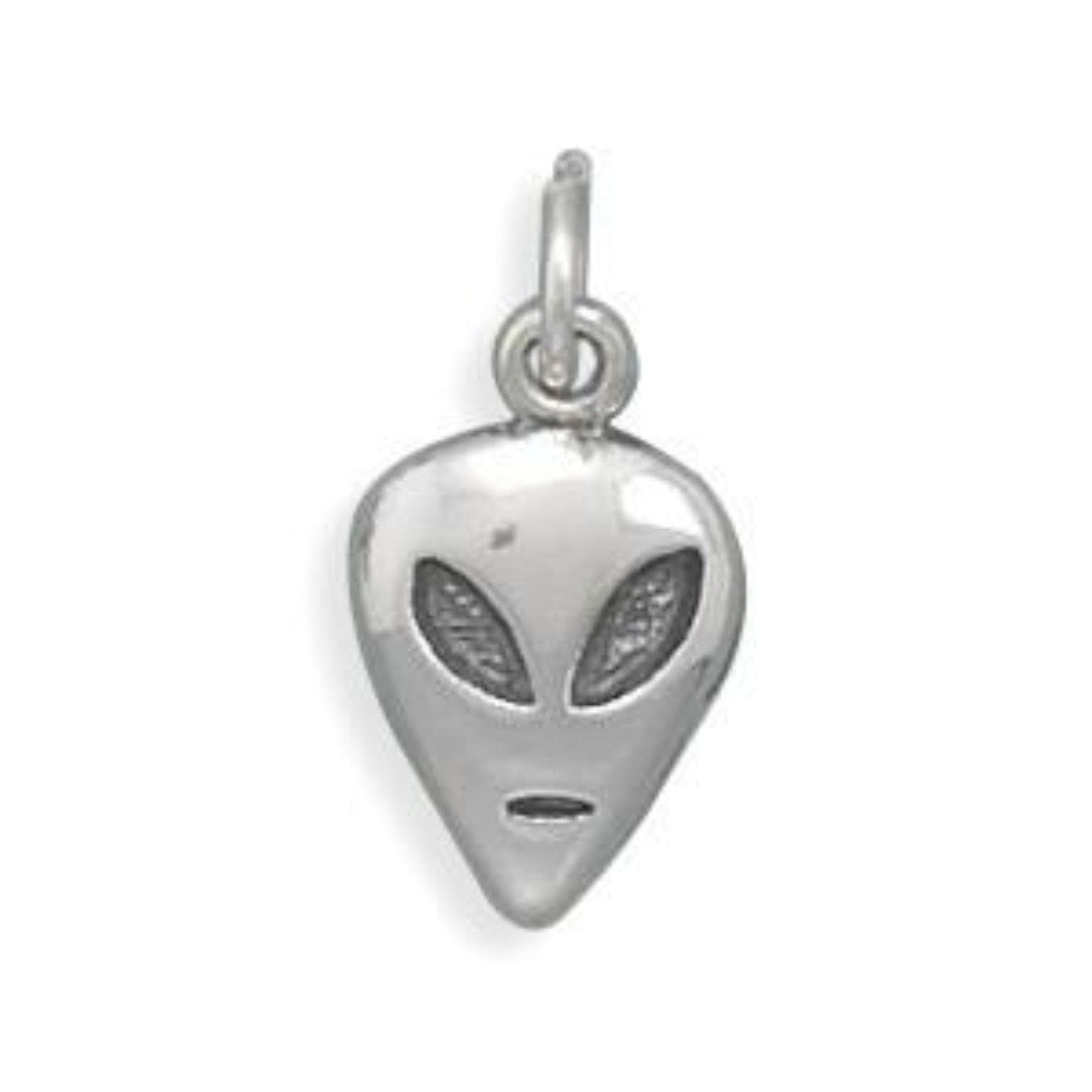 GRAPHICS & MORE Aliens Believe in Me Funny Humor Antiqued Bracelet Pendant Zipper Pull Oval Charm with Lobster Clasp