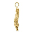 thumbnail image 2 of 14K 3-D Large Alligator w/Closed Mouth Charm K6600, 2 of 4