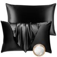 thumbnail image 1 of Juego de 2 Almohadas King Size BHZ de Plumas y Plumón de Ganso con Fundas de Satén, 1 of 8