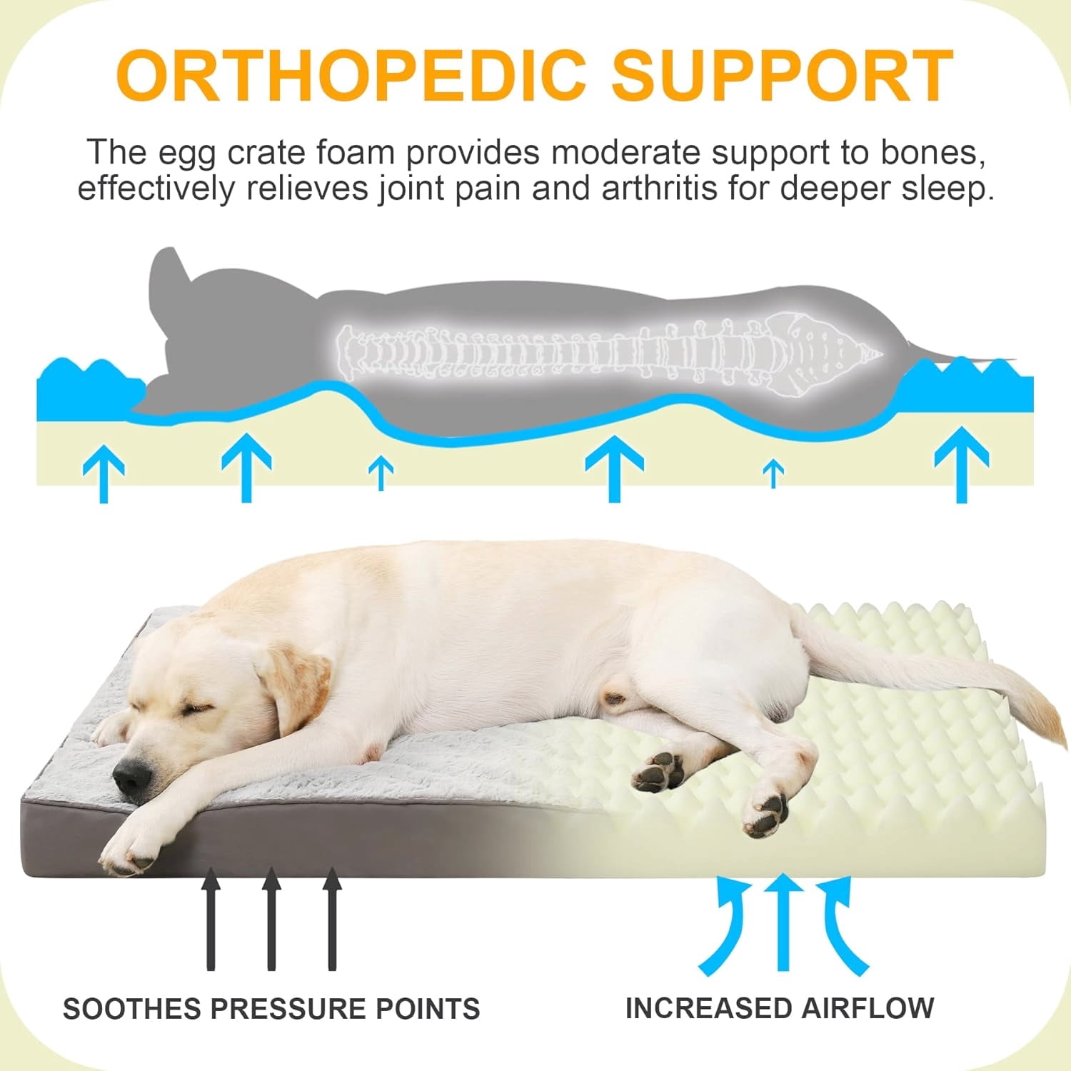 Deluxe Orthopedic Dog Bed Gray 41 x 27 Inch Plush Removable Zipper Cover