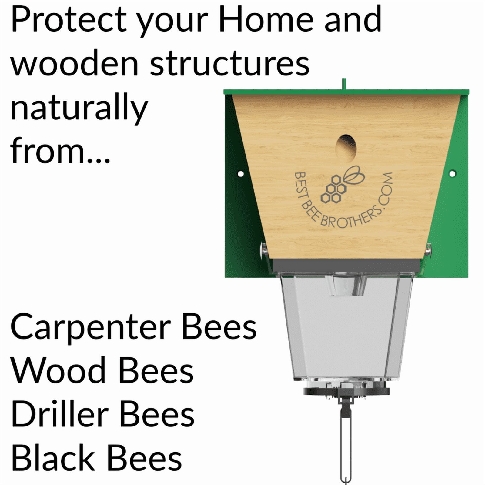 Best Bee Brothers Ultimate Pro Carpenter Bee Trap for Outside with Extra-Large, Clear External Bee Vault & Spring-Loaded Door, 4.2” D x 5.8” W x 7.5” H, 4 Pack
