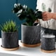thumbnail image 4 of Bearachild Maceta de cerámica con platillo Base de maceta de forma redonda Jardín Cactus Maceta Agujero de drenaje Decoración de jardinería Jardín y Patio Bearachild HA084273-00, 4 of 6
