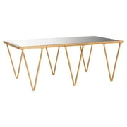 Safavieh Arlene Coffee Table, Antique Gold Leaf