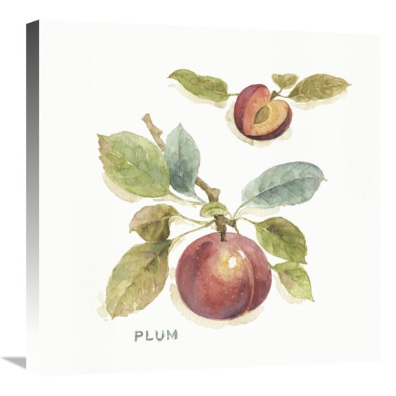 Global Gallery's 'Orchard Bloom IV' By Lisa Audit Stretched Canvas Wall Art