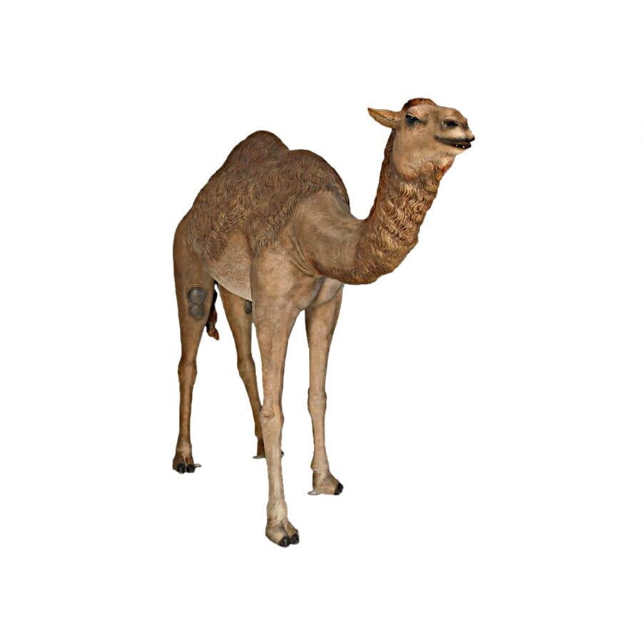 Design Toscano Grand Scale Desert Camel Statue Walmart Com Walmart Com