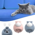 thumbnail image 3 of Chaleur comme Si Vous Tenez une Bouteille d'Eau Chaude en Silicone Chat en Forme de Chat, 3 of 5