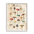 thumbnail image 4 of Stupell Industries Vintage Mushroom Types Diagram Landscape Painting White Framed Art Print Wall Art, 4 of 5