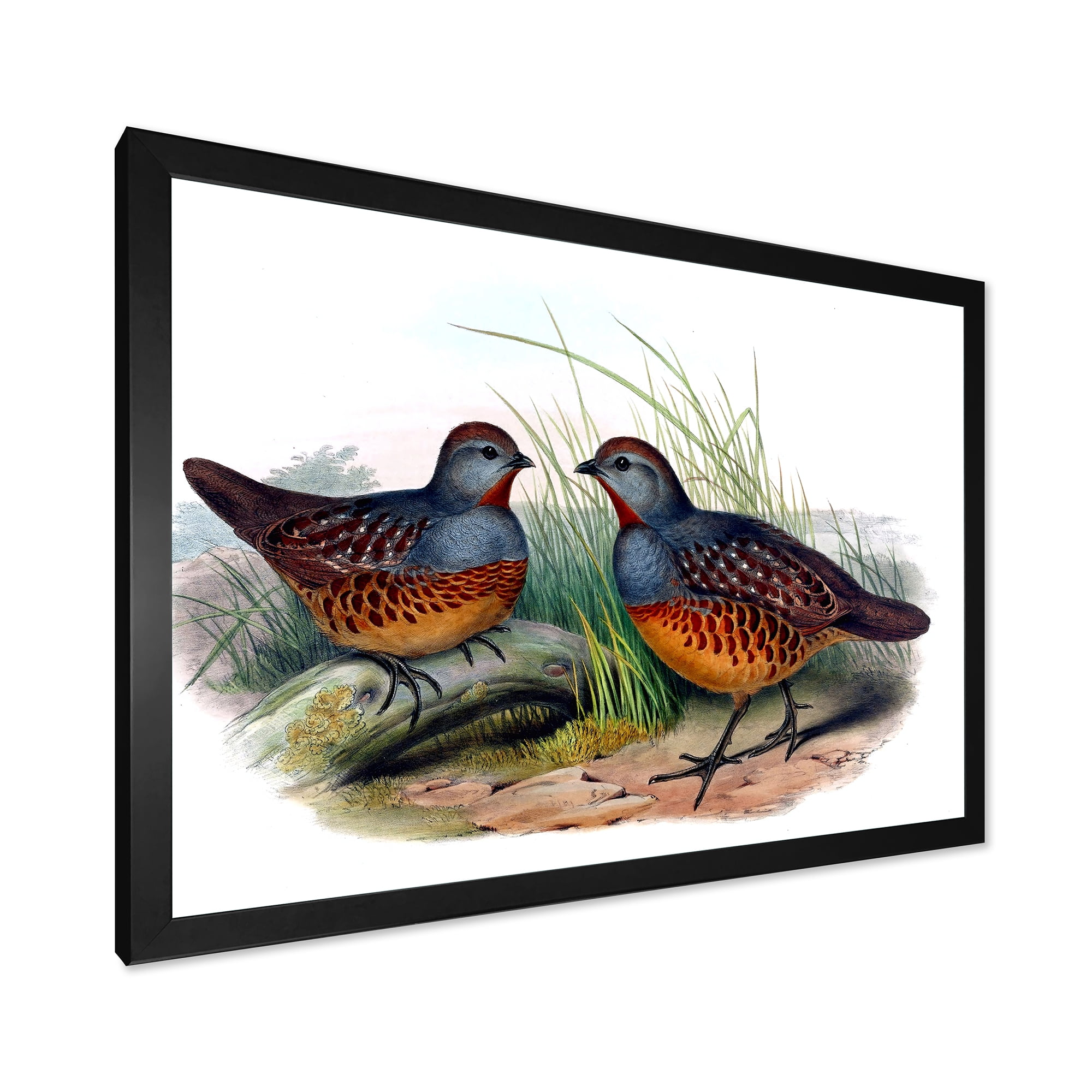 Designart 'Ancient Birds In The Wild VII' Traditional Framed Art Print