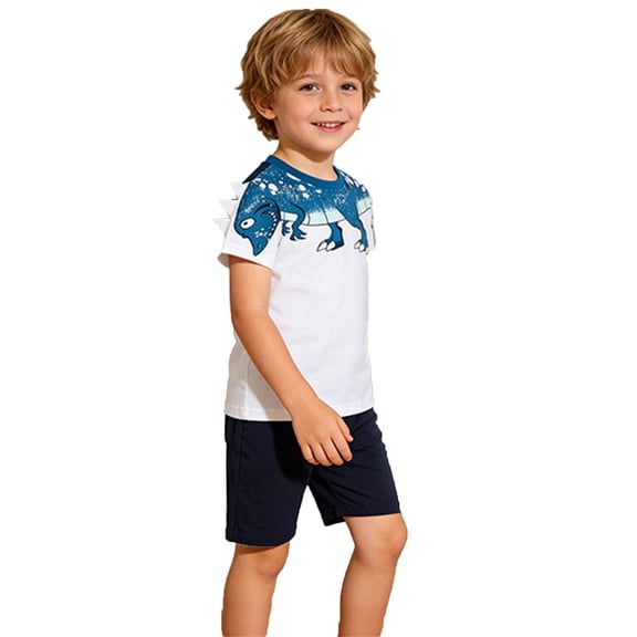 WhouRiu Boys Summer Casual Outfits Short Sleeve Cartoon Graphic Tees Shorts Sets Kids Cute Clothes