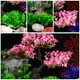thumbnail image 3 of FELTECHELECTR 1 juego de plantas decorativas para acuario, decoración de peceras, plantas de plástico para peceras de tortugas., 3 of 4