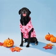 thumbnail image 2 of Vibrant Life Halloween Hoodie for Dogs, Dead Cute, Pink, L, 2 of 8