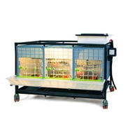 Hatching Time Chick Brooder - 1 Layer H: 15 (Power-Washable, Durable, ABS Plastic) | Cimuka