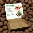 Crimson Clover Seed Balls STF9 (Trifolium incarnatum) Seed Bombs for