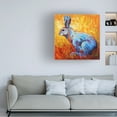thumbnail image 2 of Marion Rose 'Bunnie (krabbit)' Canvas Art, 2 of 4