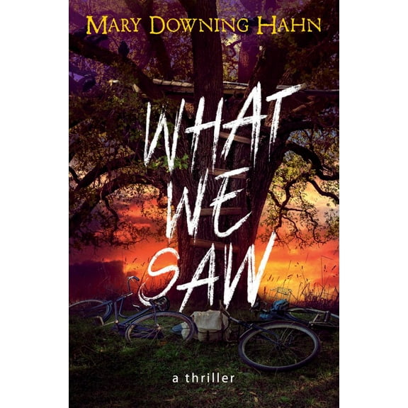 What We Saw: A Thriller (Paperback)