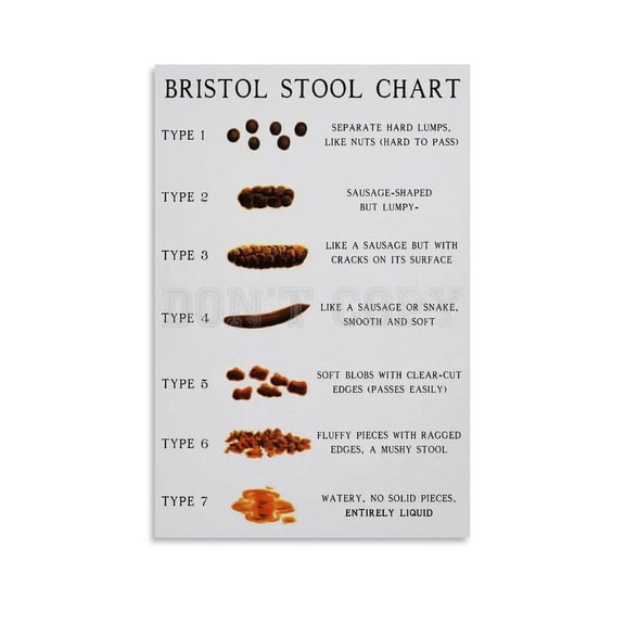 Bristol Stool Chart Poster Canvas Painting Wall Art Poster for Bedroom Living Room Decor