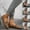 Beige, variant on Gspmoly Flats Shoes Women Dressy Comfortable, Women's Fashion Casual Spring And Summer New Suede Slip With Shallow Mouth For Outdoor Wear Flats Shoes Ballet Flats Shoes for Women Gray 41