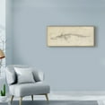 thumbnail image 3 of Trademark Fine Art Animals Canvas Art ' Whale Study Ii ' by Ethan Harper, 3 of 4