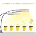 thumbnail image 3 of Luz de cultivo LED para planta de interior Planta de espectro completo similar al sol Creci Abanopi Luz LED, 3 of 7
