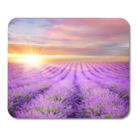 NUDECOR Sunset Over Summer Lavender Field Looks Like in Provence Mousepad Mouse Pad Mouse Mat 9x10 inch