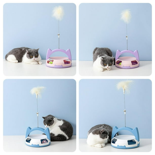 Juguetes interactivos para gatos, varita teaser, práctica de