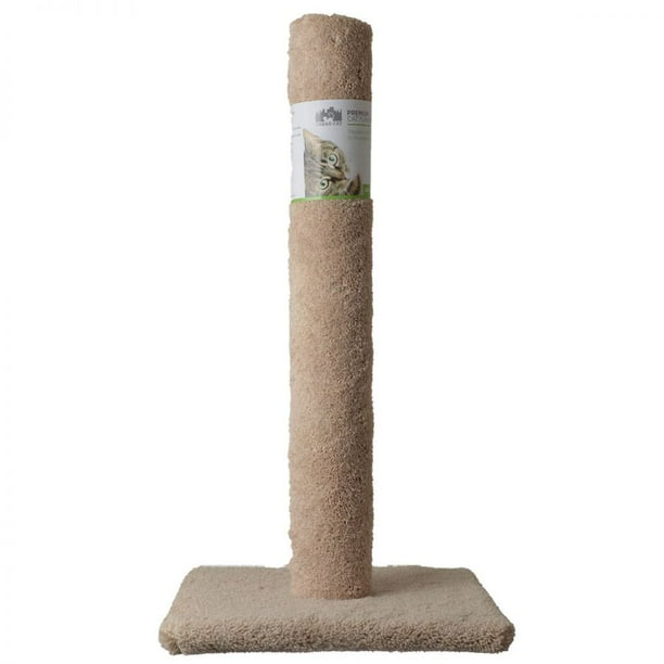 Stop Your Cat from Ruining Your Carpets with These Top 10 Carpet Cat