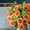 Orange, variant on Artificial Rose Flowers, Fake Silk Eucalyptus Flowers Valentine's Day Wedding Decoration Bouquet Decor, Plastic Flowers Arrangement Table Centerpieces Home Decoration
