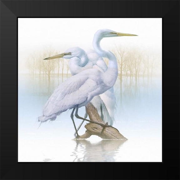 Hunziker, Steve 12x12 Black Modern Framed Museum Art Print Titled - Misty Plumage I