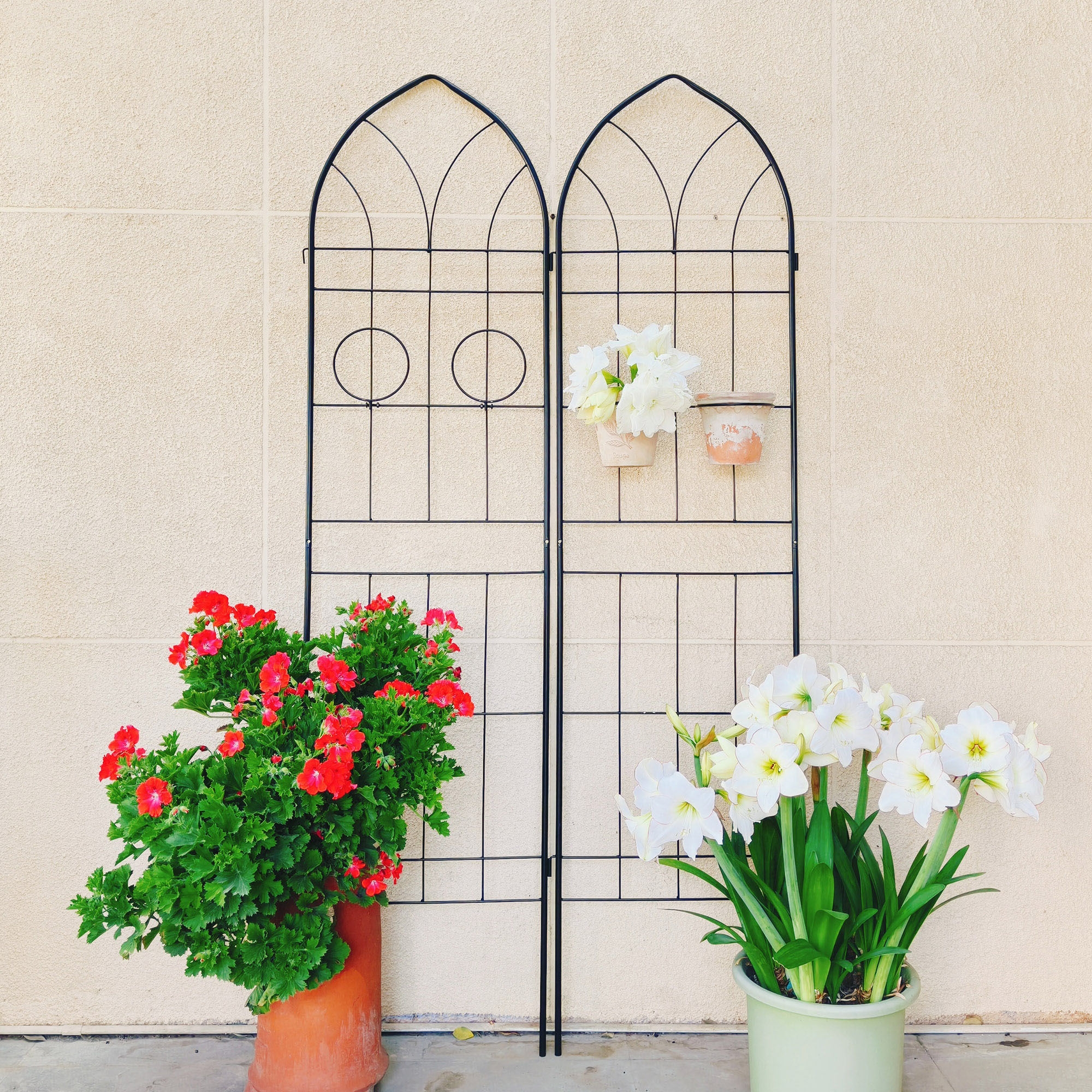 CQSXDA 4 Pack Large Garden Trellis 78.7" H x 19.7" W Heavy Duty Rustproof Black Iron Plant Trellis for Potted Plant Support Metal Climbing Rose Trellis Vine Vegetable Cucumber